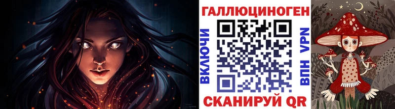 закладка Злынка Псилоцибиновые грибы мухоморы